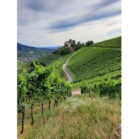 Heimatglueck Schwarzwald *